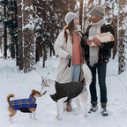 Kuoser Warm Dog Coat, Waterproof Dog Jacket for Extra Large Dogs, Adjustable Durable XXL Doggie Winter Coat Reversible Puppy Cold Weather Apparel from Small to Large Breed, Navy XXL