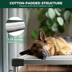 FXW TitanNest Chew-Proof Elevated Dog Bed, Raised Cot for Indoor/Outdoor/Camping Use, Durable & Washable Padded Pet Bed for Large Dogs, 47.0" L x 29.0" W x 7.3" H, Gray