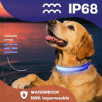 DOGWONG LED Dog Collar - Heavy Duty Light up Collars - Rechargeable Waterproof - Lighted Dog Collar for Night Walking, Hiking, Camping(Blue,L)