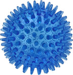 Cutie's PetBox Squeaky Rubber Spike Toy Ball for Small Dogs (2.5 Inch, Blue)