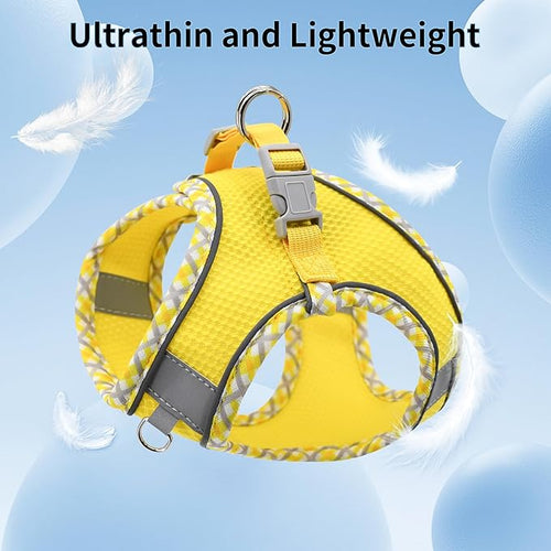 AIITLE Dog Harness and Leash Set - Ultra-Comfortable XXS-XL Vest with Strong Magic Tape & Glow-in-Dark Reflective Strips, Chafe-Free for Teddy, Schnauzer (Yellow, M)