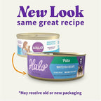 Halo Wet Cat Food Whitefish Recipe, Grain Free Wet Cat Pate, Canned Cat Food for Extra Hydration, 5.5 Oz Can (Pack of 12)