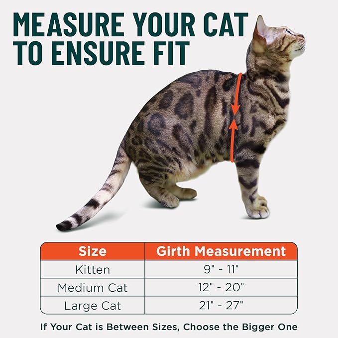 Houdini™ Escape Proof Kitten Harness and Leash Set by OutdoorBengal – Red, Small Cat Harness for Walking
