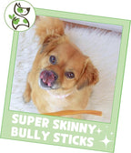 Nature Gnaws Super Skinny Bully Sticks for Small Dogs 5-6" (40 Count) - Long Lasting for Light Chewers and Puppies - Extra Thin Natural Beef Dog Chew Treats