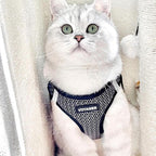 Best Pet Supplies Voyager Step-in Air Harness - All Weather Mesh, Reflective, No Pull Harness for Dogs, Cats - Secure with Hook & Loop Fastener, Buckle, Double D-Rings - Tone, L