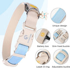 DOGWONG LED Dog Collar - Heavy Duty Light up Collars - Rechargeable Waterproof - Lighted Dog Collar for Night Walking, Hiking, Camping(Blue,L)