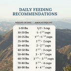 360 Pet Nutrition Freeze-Dried Raw Dog Food – Beef Recipe with Liver & Organs, High Protein with Omega-3s, Fruits, Veggies & Superfoods, Grain-Free, No Fillers, 5 oz – Made in USA
