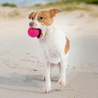Best Pet Supplies Squeaky Dog Toys with Soft Durable Fabric for Small, Medium and Large Pets Interactive Toy for Indoor Play, Supports Active Biting and Play - Fuchsia, Green (L:3.5")