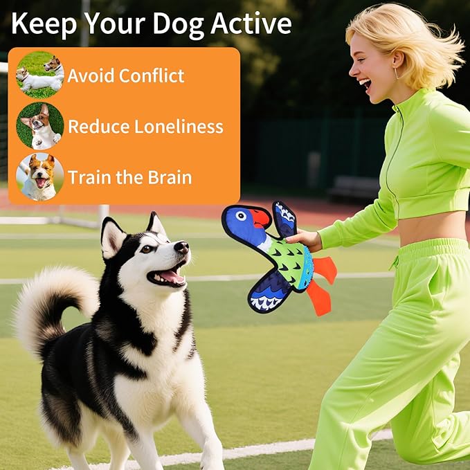 Interactive Squeaky Dog Toys,Crinkle Dog Toy to Keep Them Busy,Colorful Absurd Duck Dog Toys,Fun for Indoor Puppies,Chewing and Playing(Green)