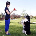 petizer 3" Squeaky Dog Balls for Aggressive Chewers, Durable Interactive Spiky Ball for Teething, Indestructible Rubber Dog Chew Toys, Tough Pet Toys for Small, Medium & Large Breeds