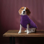 ROZKITCH Fleece Dog Jacket, Pet Windproof Warm Cold Weather Jacket Vest Cozy Jumpsuit Apparel Outfit Clothes for Walking Hiking Travel Sleep Purple 3XL