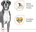 Royal Canin Breed Health Nutrition Boxer Adult Loaf in Sauce Dog Food, 13.5 oz (Pack of 12)