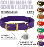 BRONZEDOG Leather Dog Collar with Metal Buckle Durable Basic Pet Collars for Small Medium Large Dogs (11-13 Inch (Pack of 1), Purple & Gold Buckle)