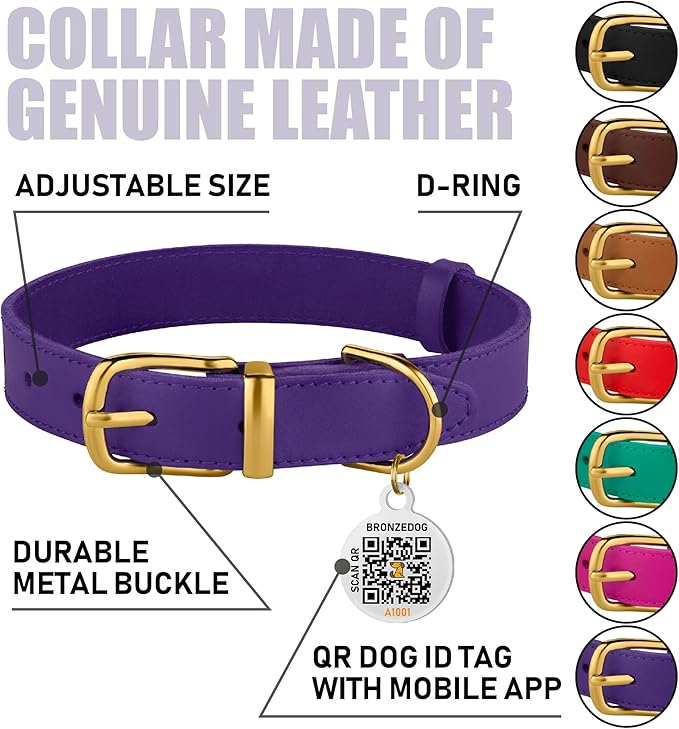 BRONZEDOG Leather Dog Collar with Metal Buckle Durable Basic Pet Collars for Small Medium Large Dogs (19-21 Inch (Pack of 1), Purple & Gold Buckle)
