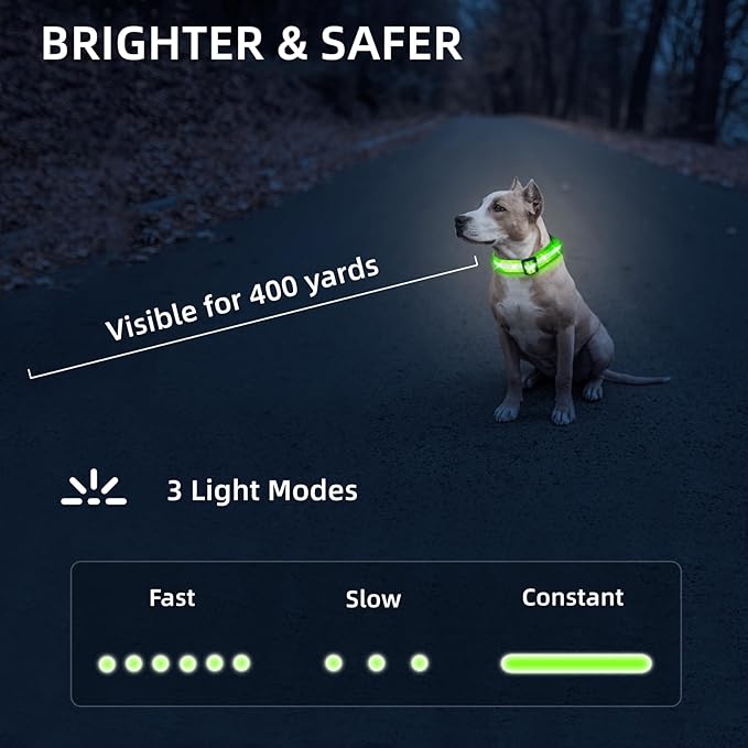 Super Bright LED Dog Collar - Fully Waterproof & Adjustable Glow Collar - USB-C Rechargeable for Night Walking, Safety - Flashing Lighted Collar for Dogs(Green,L)