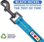 Pawtitas 6 FT Recycled Dog Leash with Reflective Stitched Thread Stitched on Side| Small Reflective Dog Leash Made from Plastic Bottles Collected from Oceans – Teal 6 ft Dog Leash