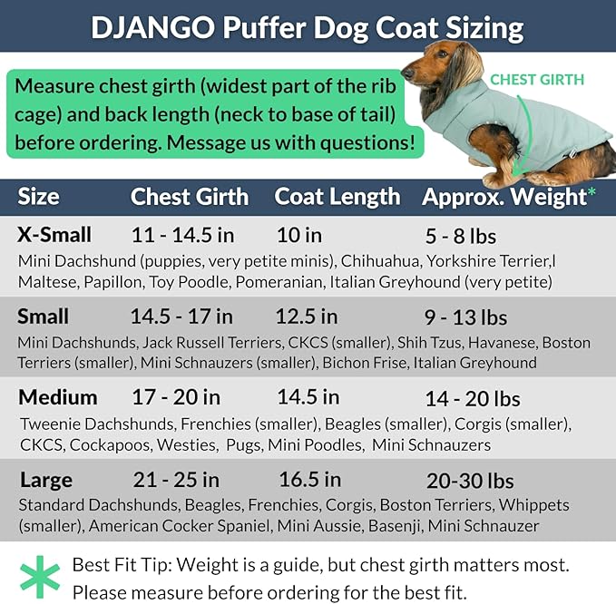 DJANGO Puffer Dog Coat – Warm Winter Dog Jacket & Water-Repellent Insulated Puffer Vest with Striped Lining, Harness Hole, Adjustable Fit for Small & Medium Dogs, Dachshunds – Sea Foam Green, Large
