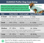 DJANGO Puffer Dog Coat – Warm Winter Dog Jacket & Water-Repellent Insulated Puffer Vest with Striped Lining, Harness Hole, Adjustable Fit for Small & Medium Dogs, Dachshunds – Sea Foam Green, Large