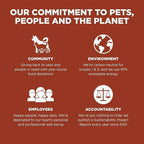Go! Solutions Skin + Coat Care, Dry Dog Food, Large Breed Adult Salmon Recipe with Grains, 25 lb Bag