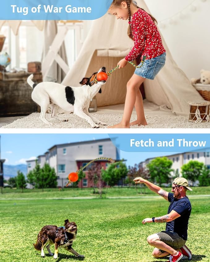 HEALTH & OUTDOORS Rope Chew Toy, 2 Pack, Dog Chew Toy, Tough Rope with Ball Active Play (Colors May Vary)