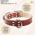 ADITYNA Heavy-Duty Leather Dog Collar for Medium Dogs - Soft Padded for Comfort - Medium Dog Collar for Walking, Training, and Hiking