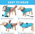 Queenmore Dog Winter Jacket, Fleece Lining Pet Vests for Winter, Dog Cold Weather Coats, Dogs Coat for Medium Puppy Waterproof, Pet Snowsuit with Leash Hole, Blue, M