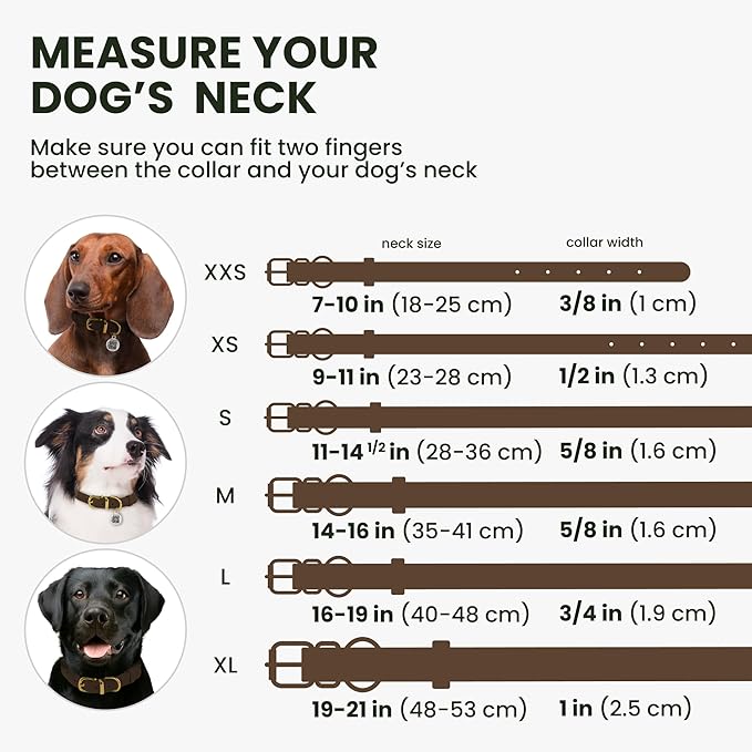 BronzeDog Rolled Leather Dog Collar with QR ID Tag, Adjustable Soft Round Collars for Small Medium Large Dogs Puppy (9" - 11" Neck Size, Brown)