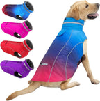 Doglay Dog Winter Coat, Waterproof Dog Jacket with Pocket, Reflective Turtleneck Pet Winter Jackets, Warm Puppy Snow Jacket for Small Medium Large Dogs