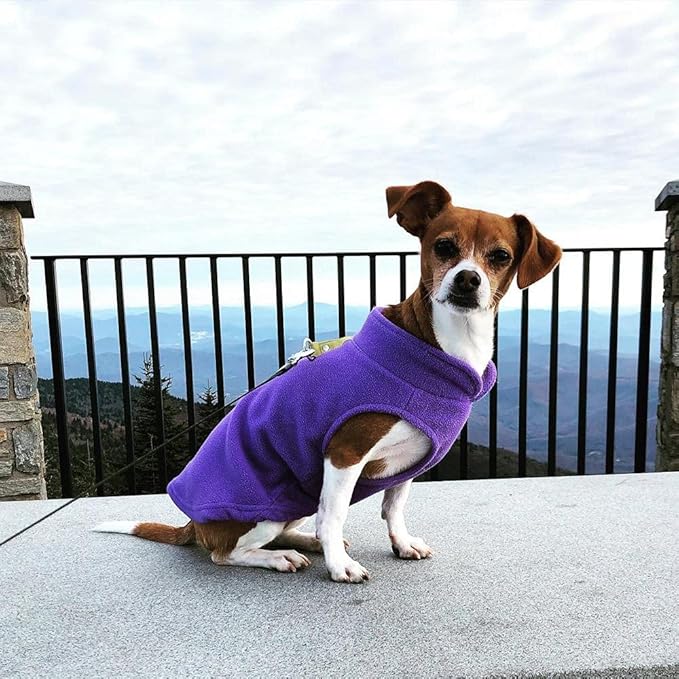 Gooby Fleece Vest Dog Sweater - Lavender, X-Small - Warm Pullover Fleece Dog Jacket with O-Ring Leash for Small to Medium Dogs