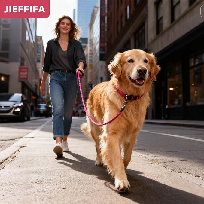 Nylon Dog Leash for Medium Large Dogs, 5-FTReflective Heavy Duty Leash with Comfortable Handle & Poop Bag Dispenser Ring, 1/2 Inch Wide, Secure Reinforcement for Walking (Red, M)