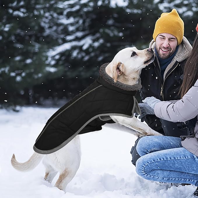Fragralley Dog Coat Small, Waterproof Dog Jacket with Warm Fleece Lining, Adjustable Reflective Dogs Winter Coat, Turtleneck Pet Coats for Cold Weather (Black S)