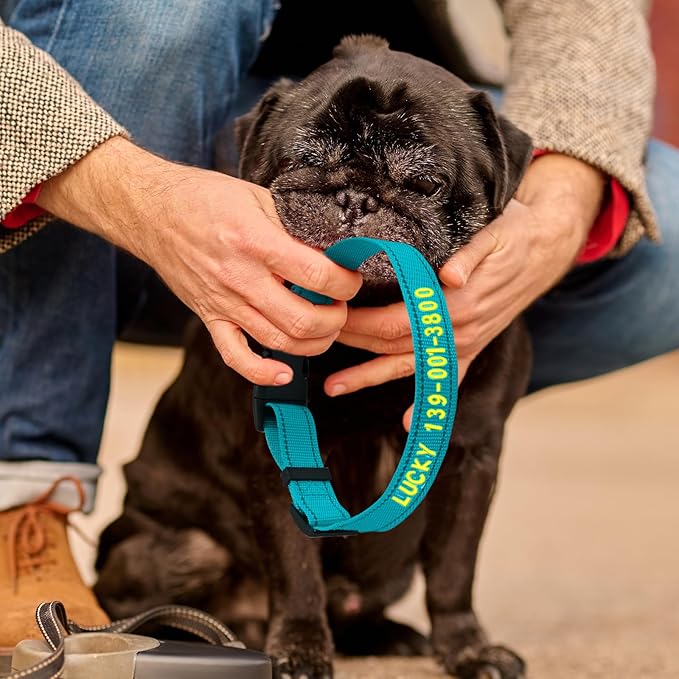 DIY Personalized Embroidered Dog Collar - Custom Hand-Stitched Name & Number, Reflective Adjustable Pet Collar for Small/Medium/Large Dogs & Cats, Durable Nylon with Steel D-Ring (Orange, Large)