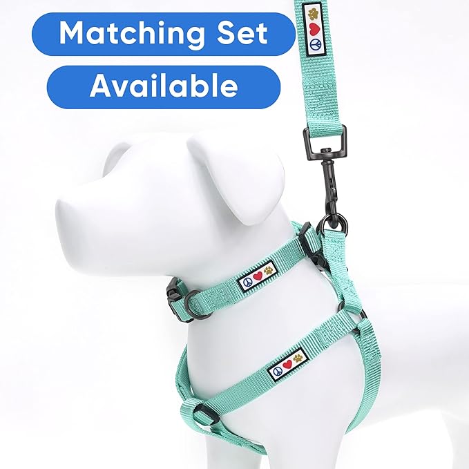 Pawtitas Personalized Dog Leash - Embroidered Customize Leash with Your Pet Name & Phone Number - 6 ft Long, Small, Teal, Custom Engraved Name