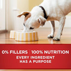 Purina ONE Natural Wet Dog Food Gravy, Tender Cuts in Gravy Beef and Barley Entrée - 13 Ounce (Pack of 12)