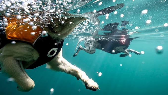 Stunt Puppy Float Doggy Life Jacket, Ergonomic Dog Life Vest for Swimming, Patented Design for Secure Fit, Large, Red