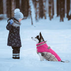 Lelepet Dog Coat Warm Dog Winter Coat Waterproof Dogs Jacket with Harness Built in Reflective Pet Fleece Vest Zip-Up Cold Weather Coats for Small Dogs Turtleneck & Windproof Coats Yorkie Rose Red S