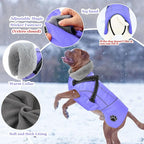 Doglay Dog Coat with Harness, Reflective Warm Dog Jacket Waterproof Puppy Winter Coat for Cold Weather, Adjustable Fleece Jacket for Small Medium Large Dogs