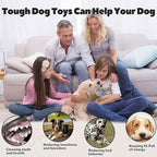 Crinkle Dog Toys Squeaky Plush No Stuffing Cute Puppy Stuffless Tough Rop Pull Toy, Fun Dog Stuffed Animals Durable Chew Set for Small Medium Large Pup (Large, Brown Squirrel)