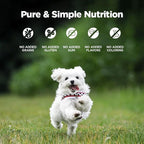 ZEAL New Zealand Wet Dog Food – High Protein, Pure Nutrition, Natural Superfoods, Grain-Free with Superfoods (Beef, 13.76oz Can 12-Pack)