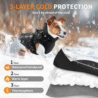 Dog Winter Coat Reflective Water-Resistant Jacket, Fleece Lined Windproof Puppy Coat with Back Zipper & D-Ring, Cold Weather Dog Coats for Small Medium Large Dogs (M, Black)