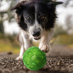 3'' Squeaky Dog Toy Balls for Lagre Medium Breed, Indestructible Dog Balls for Playing, Fetching & Retrieving, Durable Aggressive Chewers, 2 PCS Green+Purple