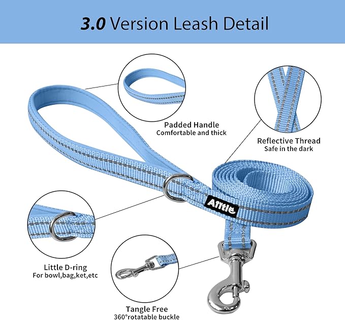 AIITLE Step in Dog Harness and Leash Set - Summer No Pull Escape Proof Vest Harnesses with Soft Mesh and Reflective Bands, Adjustable Pet Outdoor Harnesses for Small and Medium Dogs Blue M
