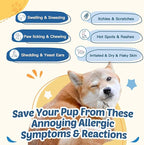 Dog Allergy Relief Chews, with Probiotics, Omega 3, Colostrum - Dog Itching Skin & Ears Relief, Herbal Skin & Coat Supplement, Gut & Immune Support, Hot Spot Treatment, Anti Seasonal Allergies