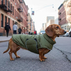 ASENKU Extra Warm Dog Coat - Winter Fleece Jacket with Reflective Adjustable Zippered Leash Hole for Medium Dogs (Green, L)