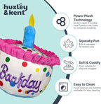 Huxley & Kent Funny Dog Toy w/Squeaker – Power Plush Squeaky Dog Toys for Small, Medium & Large Dogs – Soft Stuffed Animal for Indoor Play & Fetch - Happy Barkday Cake, Small