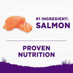 Wellness Complete Health Sensitive Skin & Stomach Dry Dog Food, Wholesome Grains, Salmon & Rice Recipe, (38-Pound Bag)