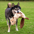 Best Pet Supplies Squeaky Dog Toys with Soft Durable Fabric for Small, Medium and Large Pets Interactive Toy for Indoor Play, Supports Active Biting and Play - 4 Figures, Large