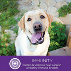 Wellness Natural Pet Food Complete Health Natural Dry Large Breed Puppy Food, Chicken, Salmon & Rice, 30-Pound Bag