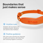 Halo Collar 5, New Wireless Dog Fence & GPS Dog Collar, Subscription Required, Waterproof, Blaze, One Size