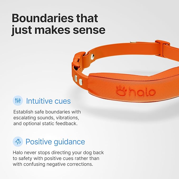 Halo Collar 5, New Wireless Dog Fence & GPS Dog Collar, Subscription Required, Waterproof, Orchid, One Size